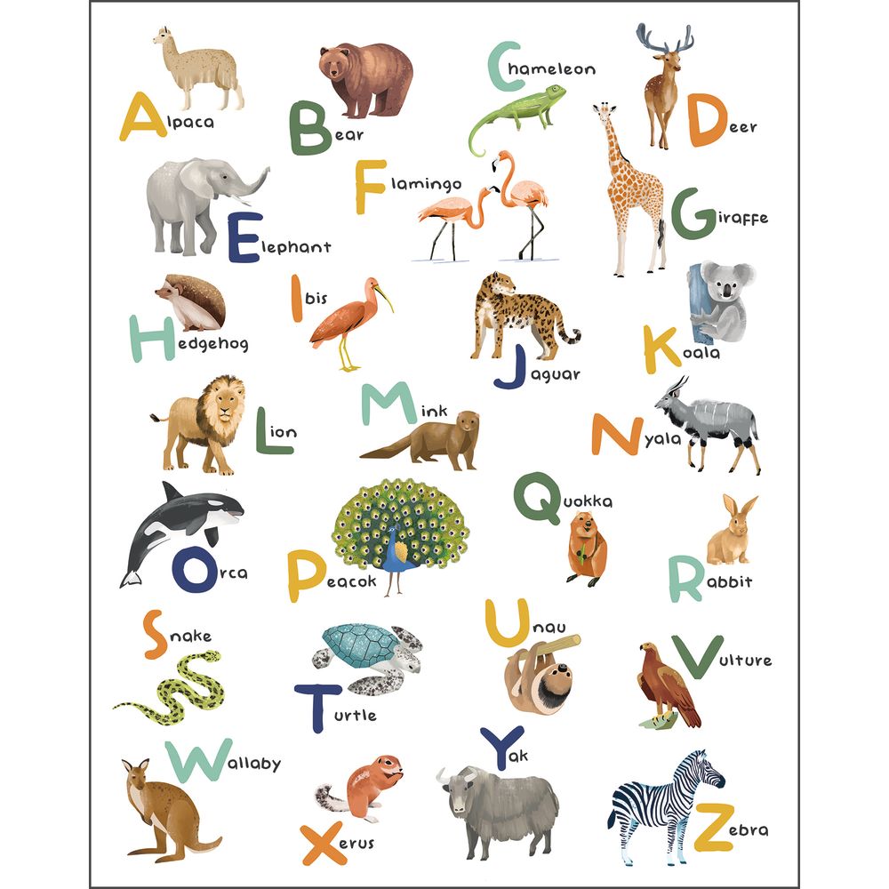Tapetti Let S Learn The Alphabet Multicouleurs S 200X250 cm