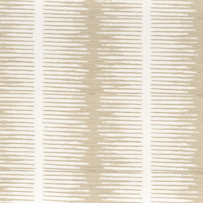 Kangas Particule