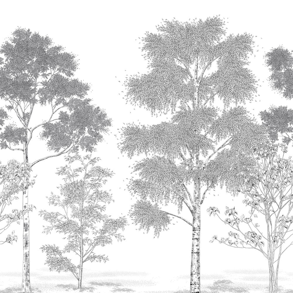 Tapetti Poesie Printaniere Noir 250X250 cm