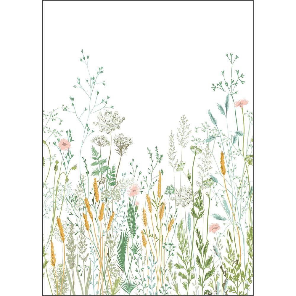 Tapetti Herbarium_M Multicouleurs 200X280 cm