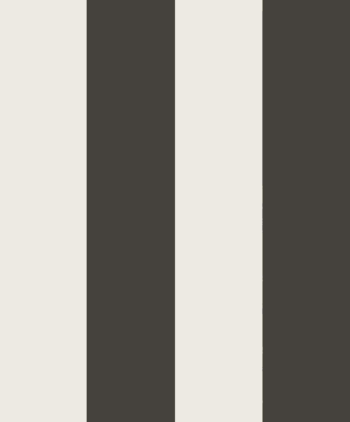Tapetti Magnus, Graphite