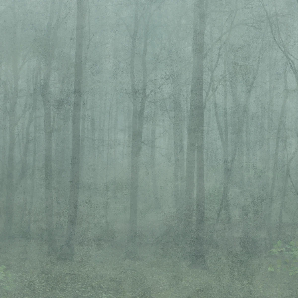 Tapetti Skog, Forest Green