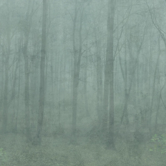 Tapetti Skog, Forest Green
