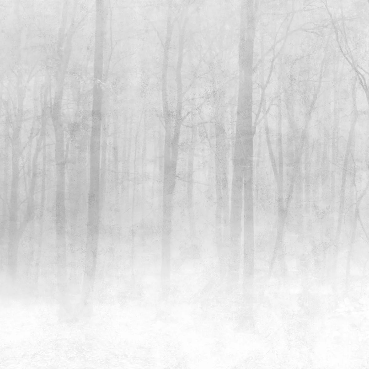Tapetti Vinterskog, Gray
