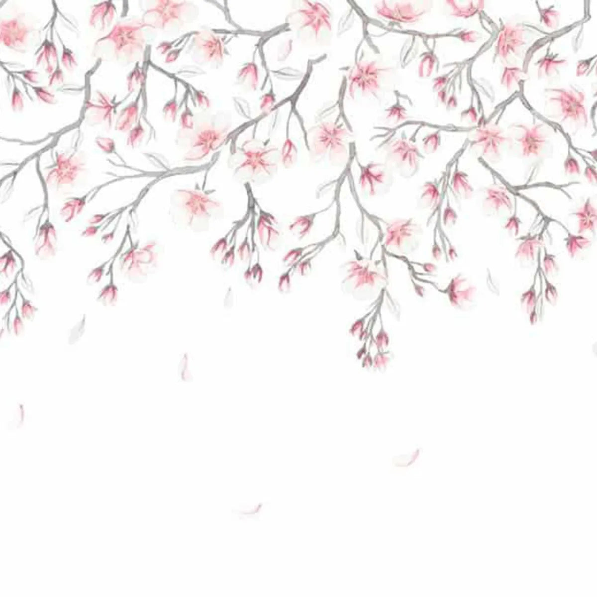 Tapetti Sakura Mural, Pink