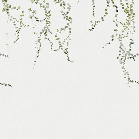 Tapetti Aralia, Moss Green