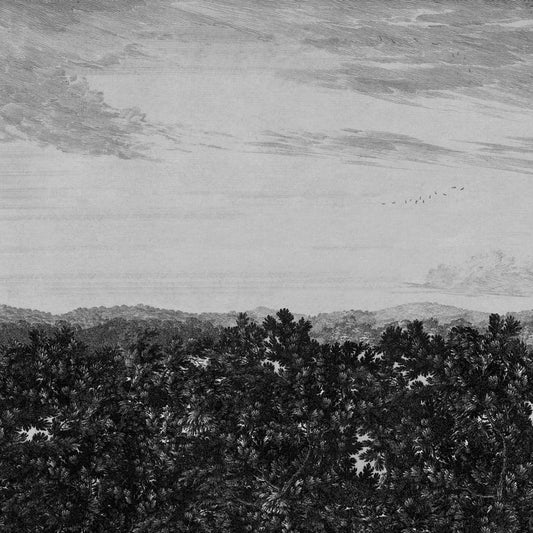 Tapetti Oak View, Graphite