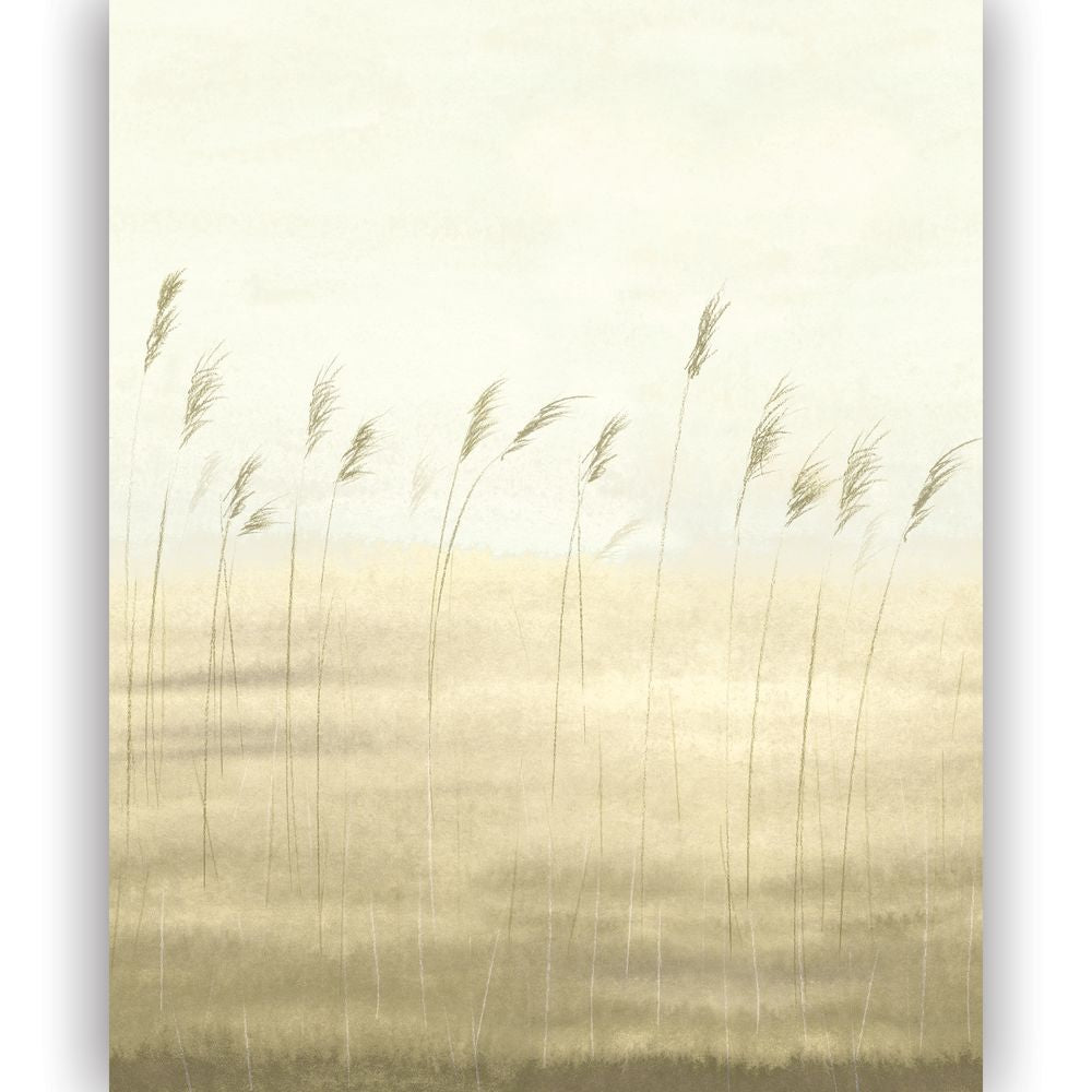 Tapetti Jonc Des Dunes_S Ble 200X250 cm