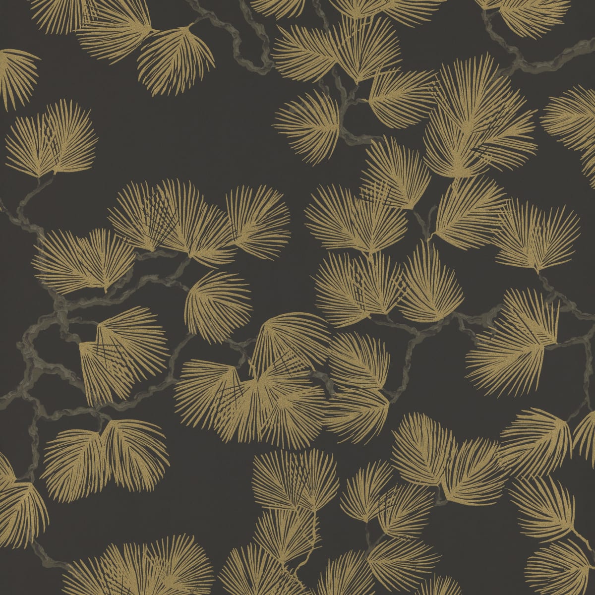 Tapetti Pine, Black