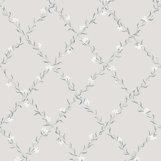 Tapetti Ewa, Gray