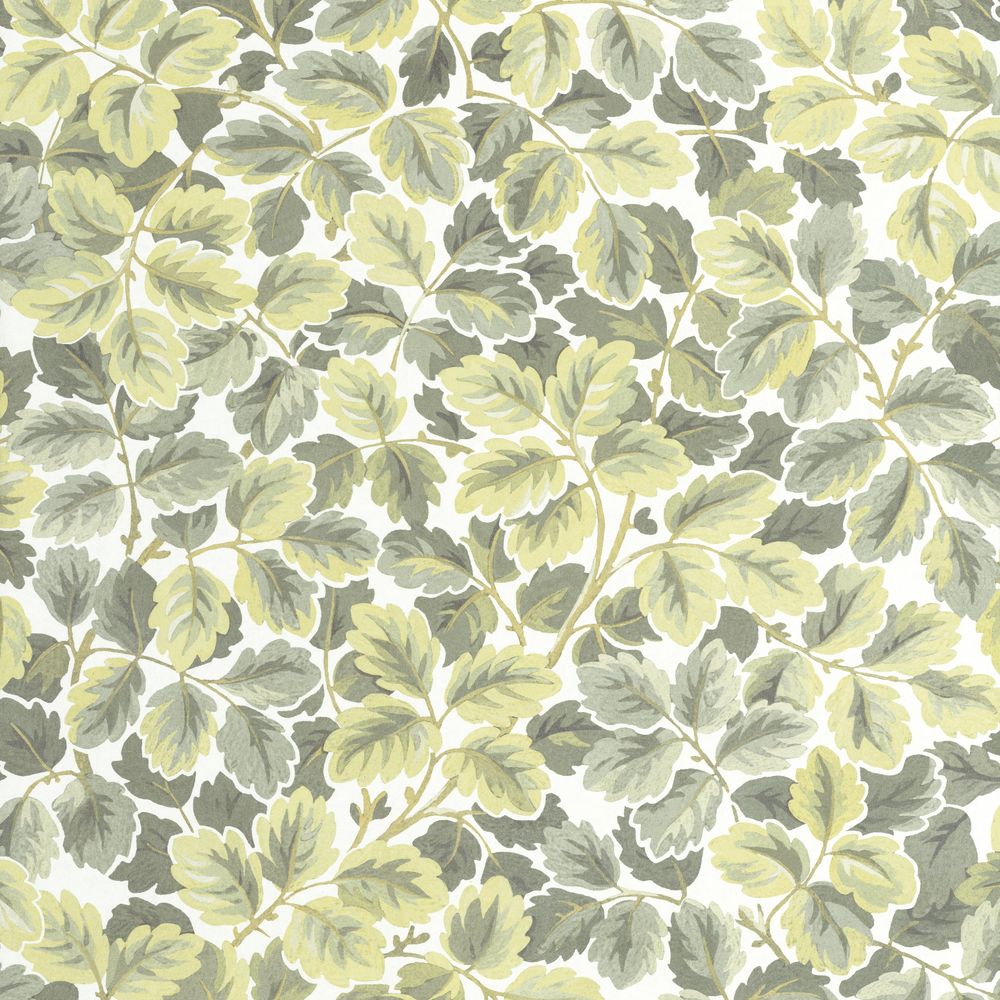 Tapetti Regent'S Park Amande 0,53x10,05m
