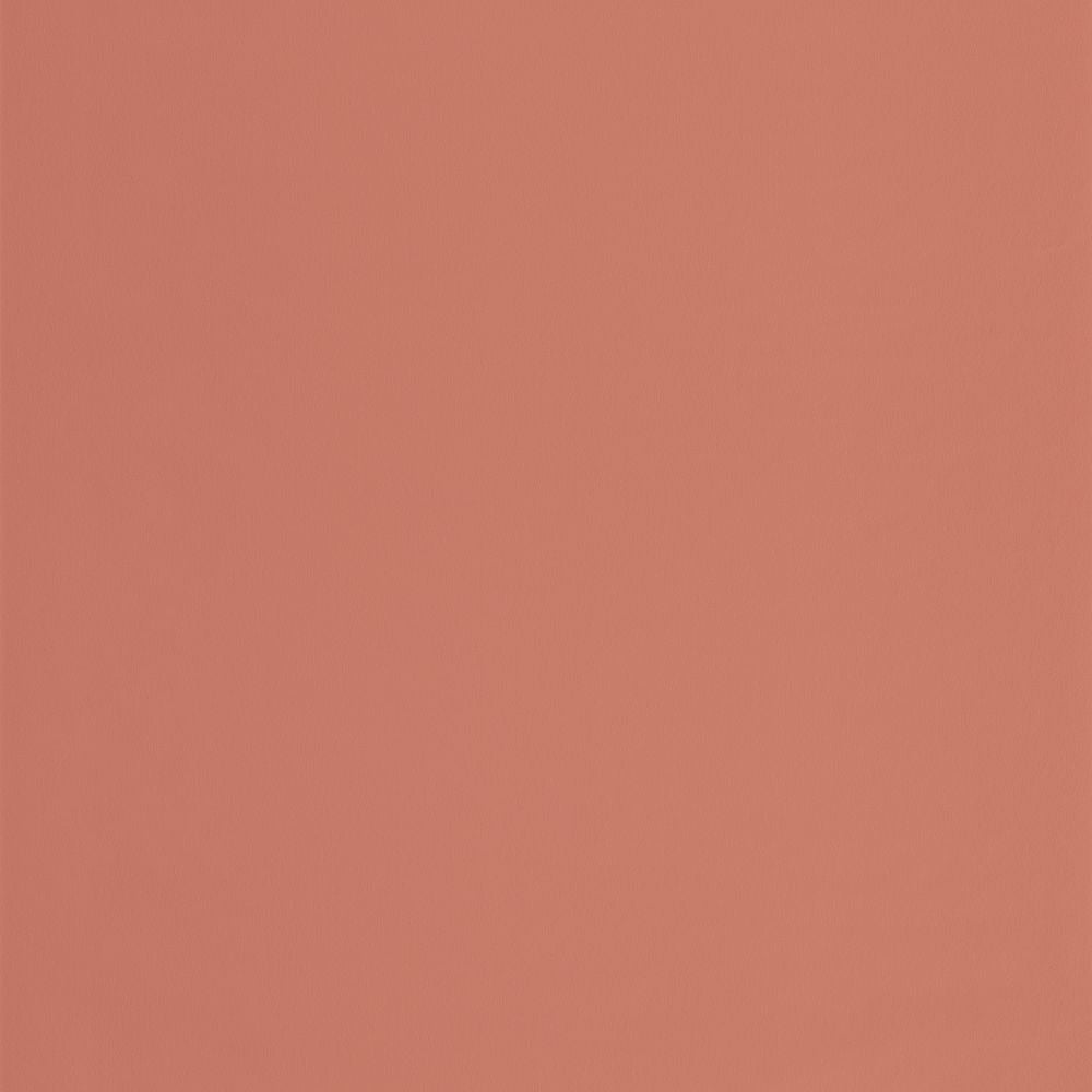 Tapetti Uni Terracota 0,53x10,05m