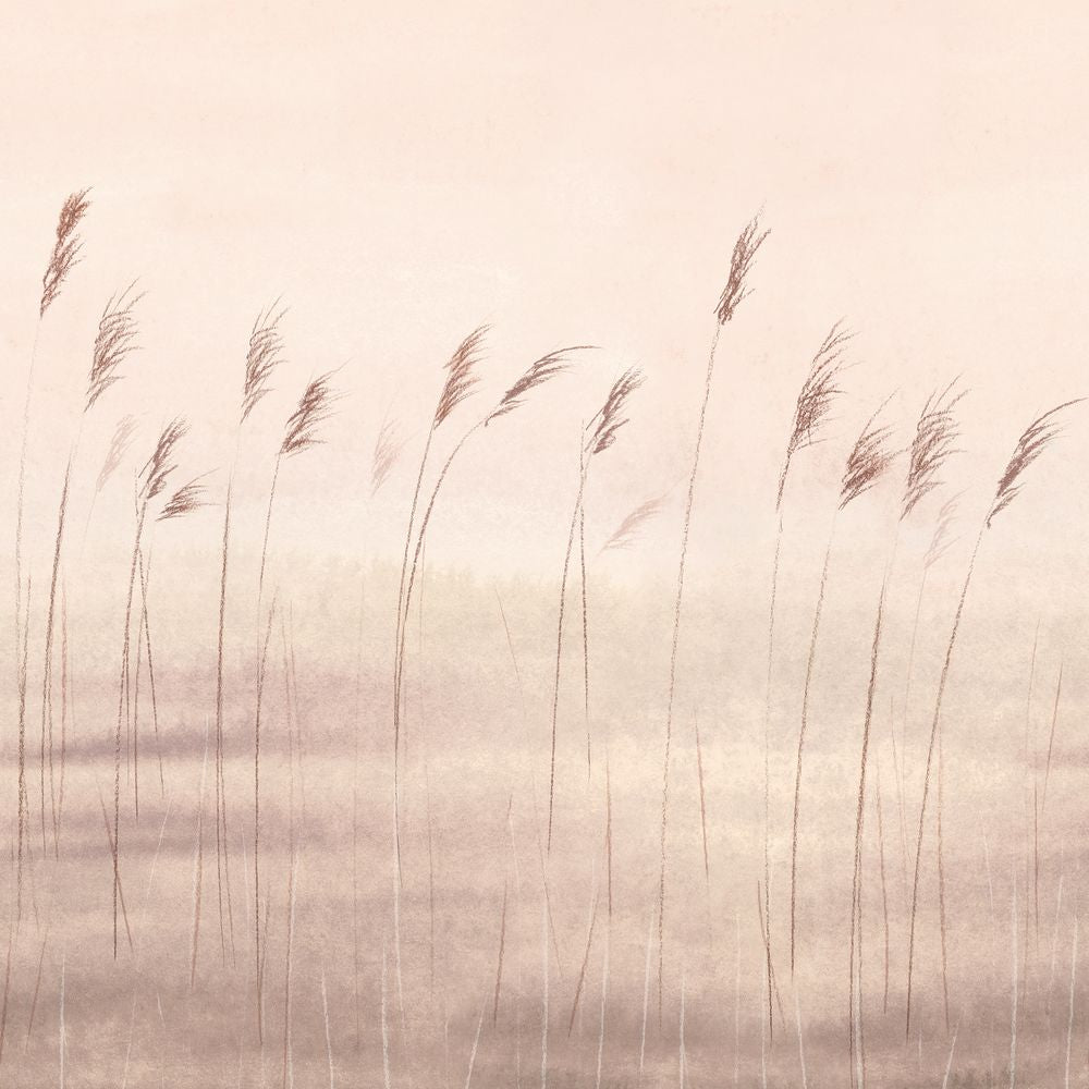 Tapetti Jonc Des Dunes_M Naturel 200X280 cm