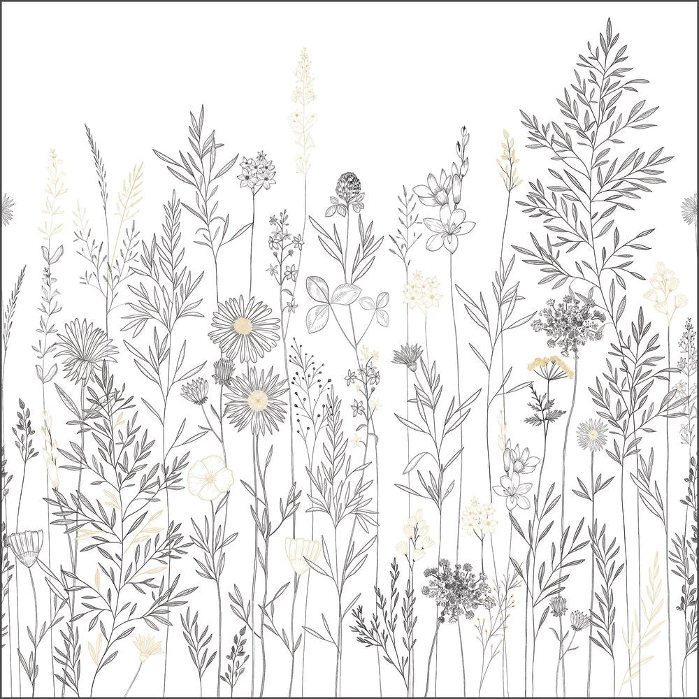 Tapetti Montmartre Noir Or S 250X250 cm