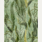 Tapetti Aquatic Plants