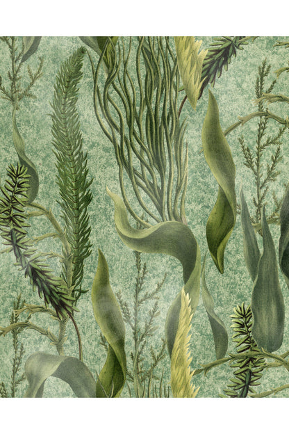Tapetti Aquatic Plants
