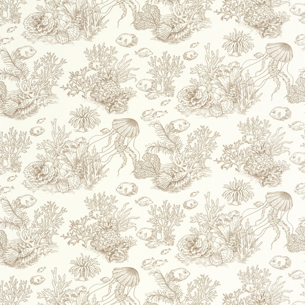 Tapetti Côte Sauvage Mordore 0,53x10,05m