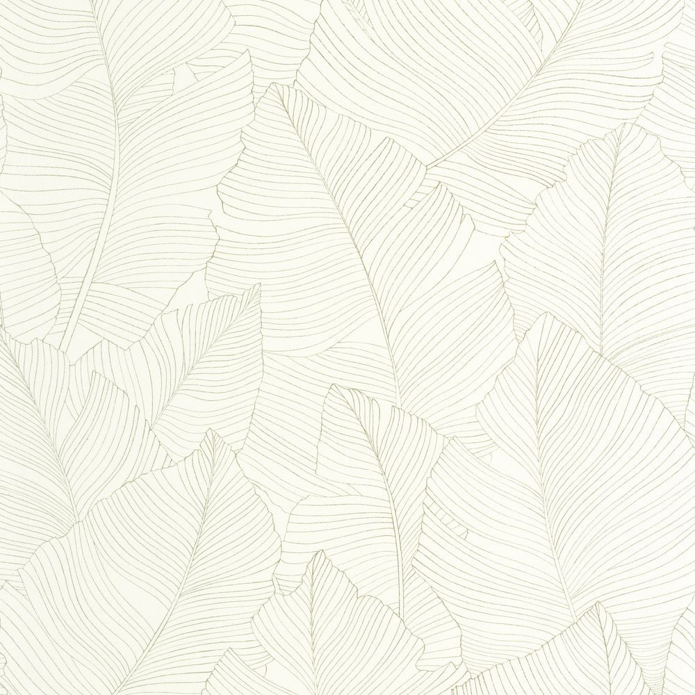 Tapetti Vegetalia Amande 0,53x10,05m