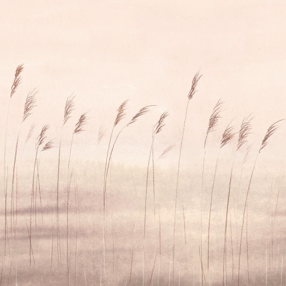 Tapetti Jonc Des Dunes_L Naturel 200X310 cm