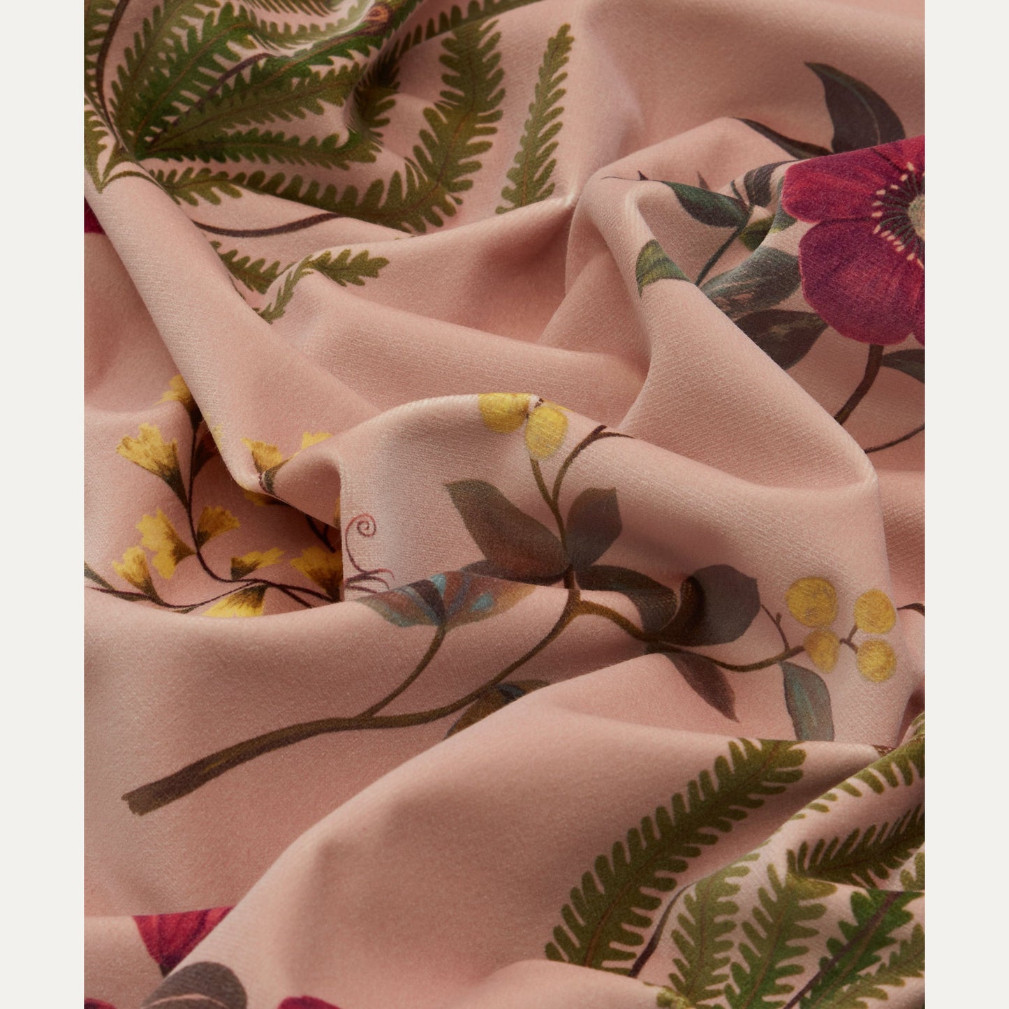 Kangas Botanical Flora