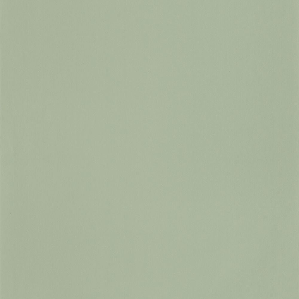 Tapetti Uni Vert De Gris 0,53x10,05m