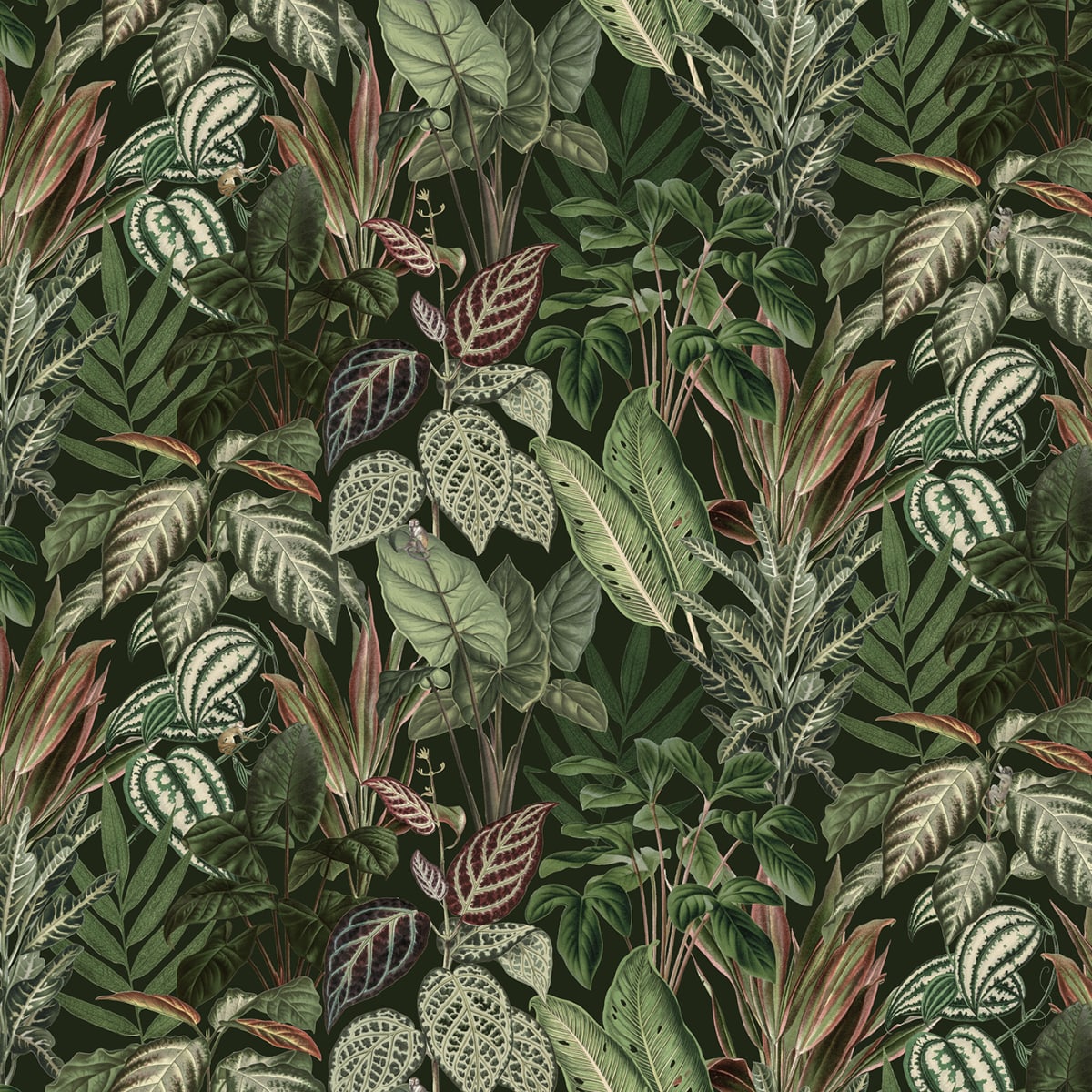 Tapetti Mischievous Monkeys, lush 400x280