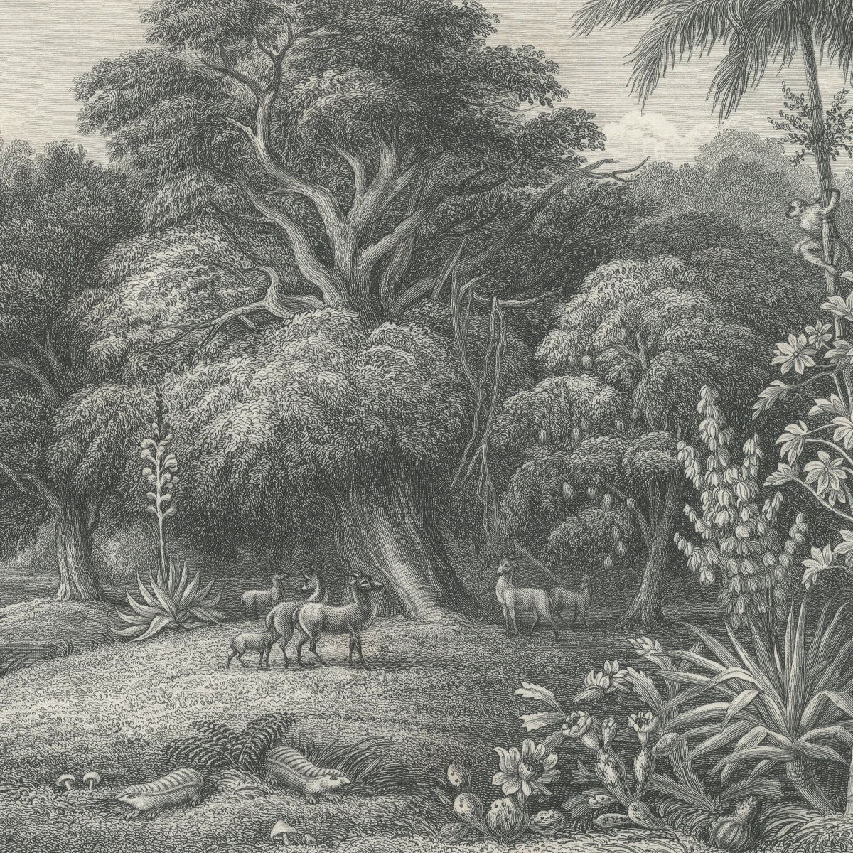 Tapetti Jungle Land, Vintage 300x280
