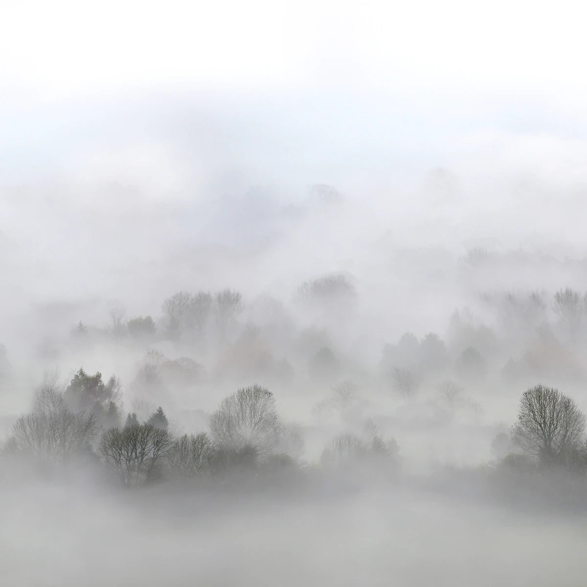 Tapetti Morning Fog 300x280