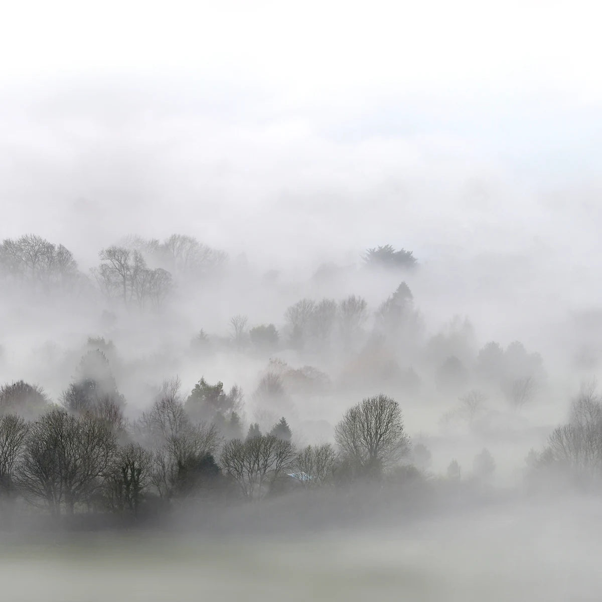 Tapetti Morning Fog 400x280