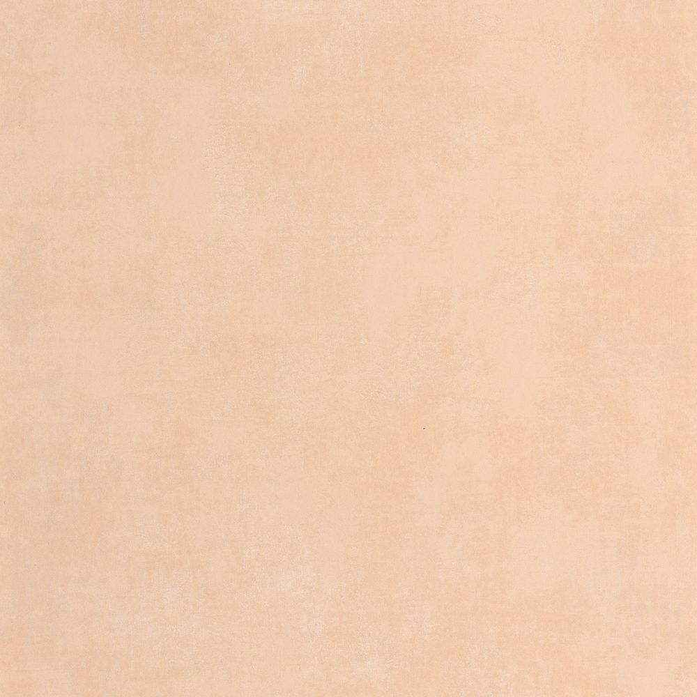Tapetti Stone Peau De Pêche 0,53x10,05m