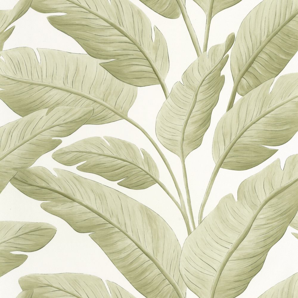 Tapetti Tropicalia Amande 0,53x10,05m