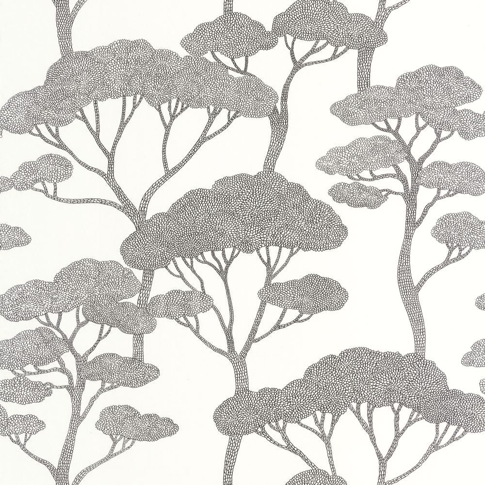 Tapetti Sweet Noir Blanc 0,53x10,05m