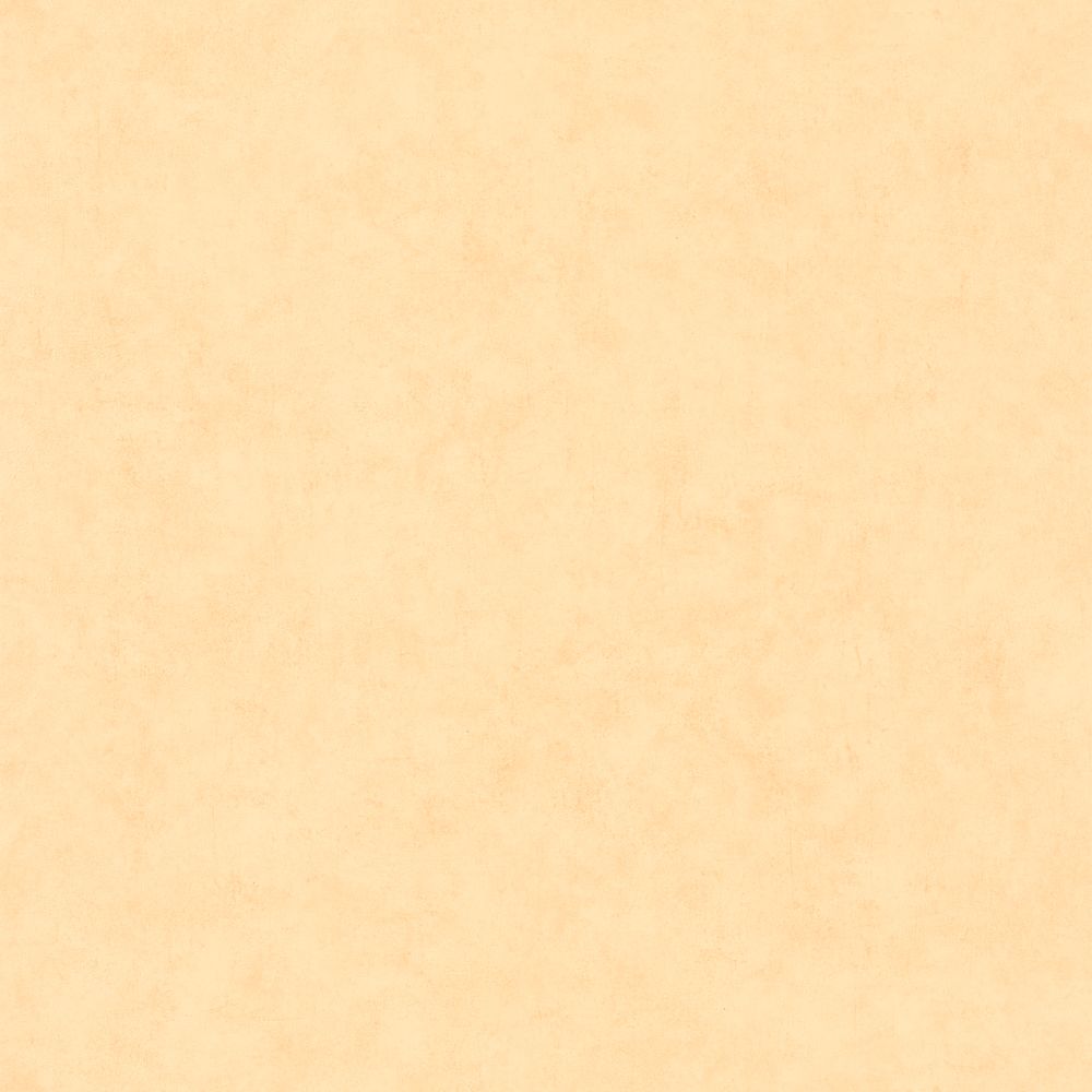 Tapetti Beton Uni Peau De Peche 0,53x10,05m