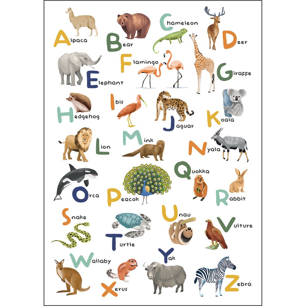 Tapetti Let S Learn The Alphabet Multicouleurs M 200X280 cm