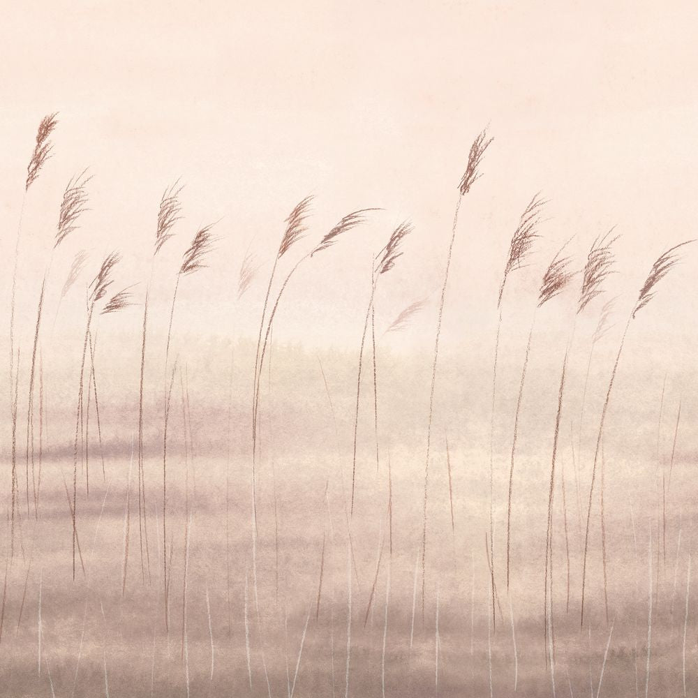 Tapetti Jonc Des Dunes_S Naturel 200X250 cm