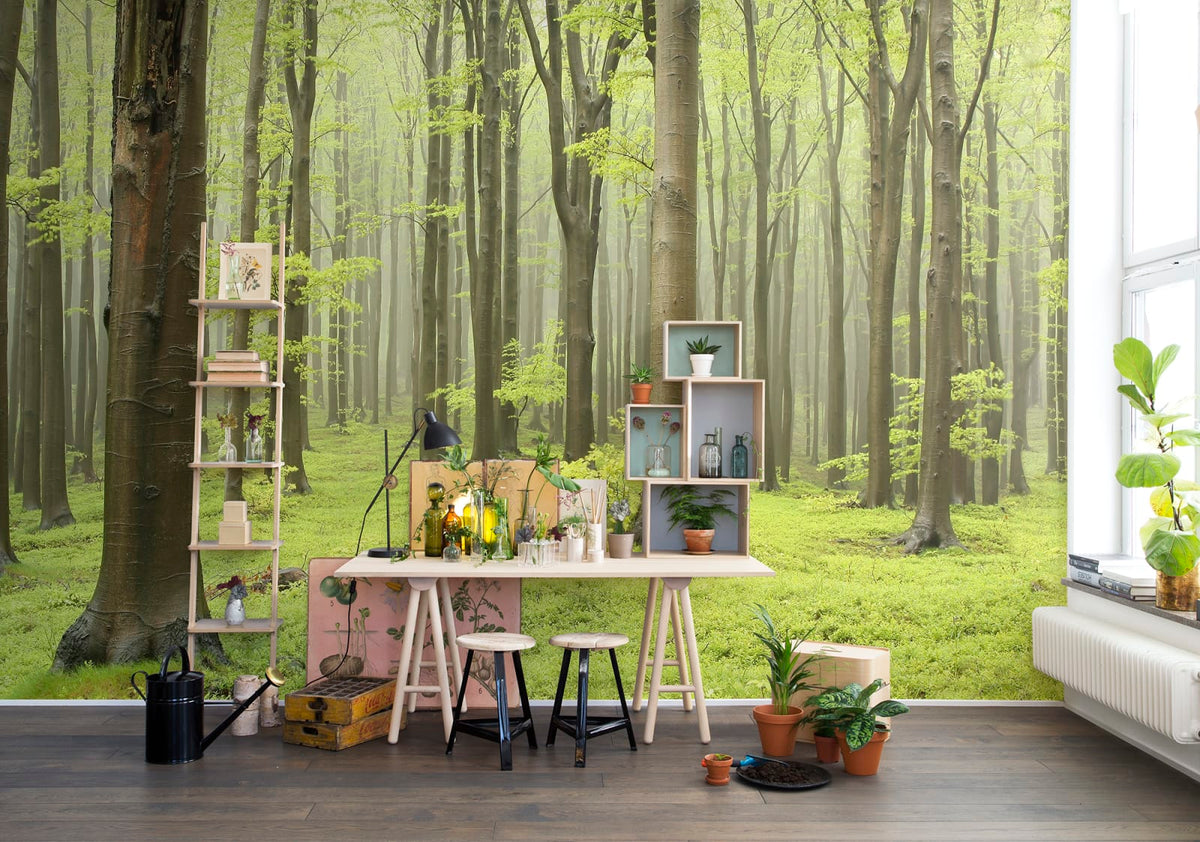 Tapetti Deciduous Forest
