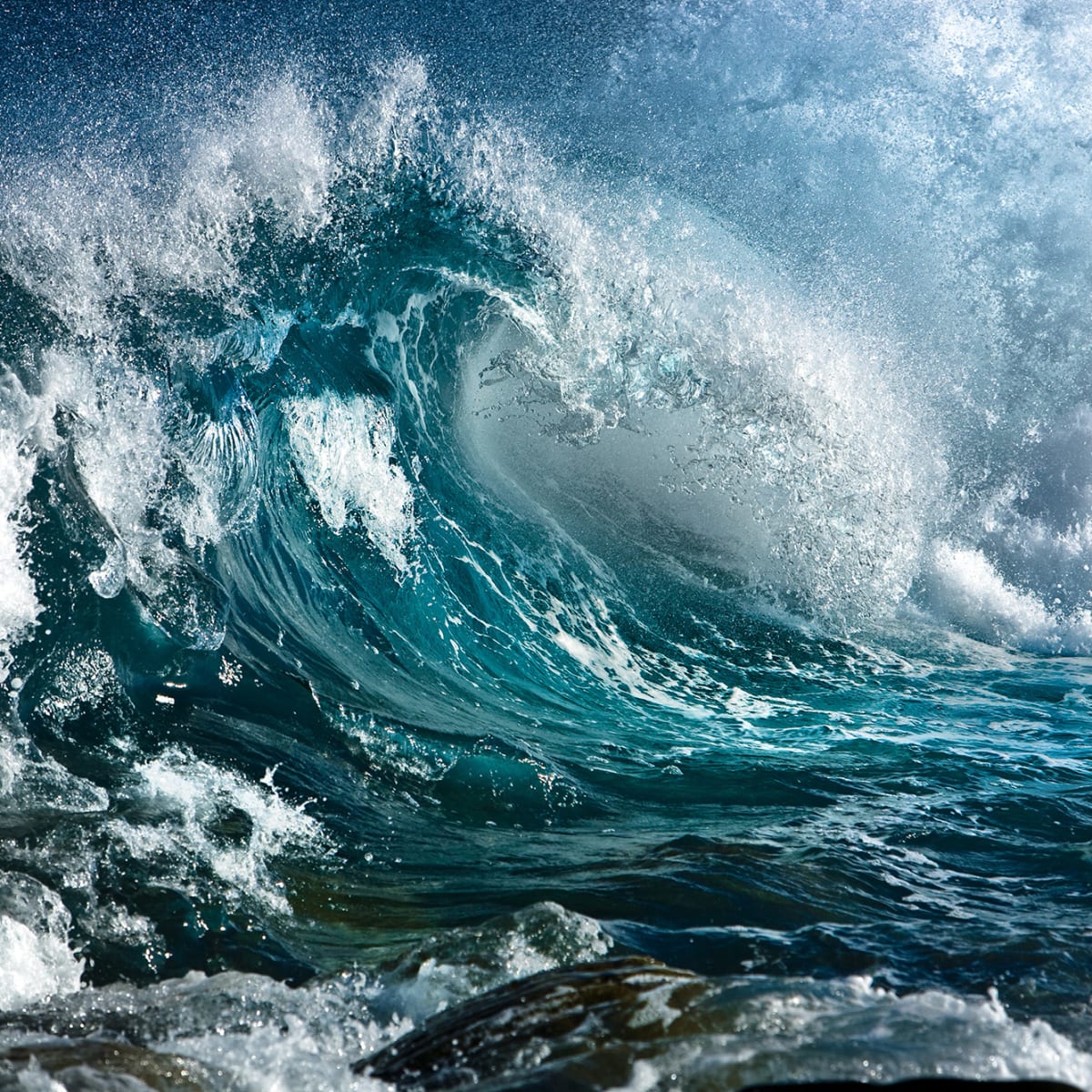 Tapetti Wave