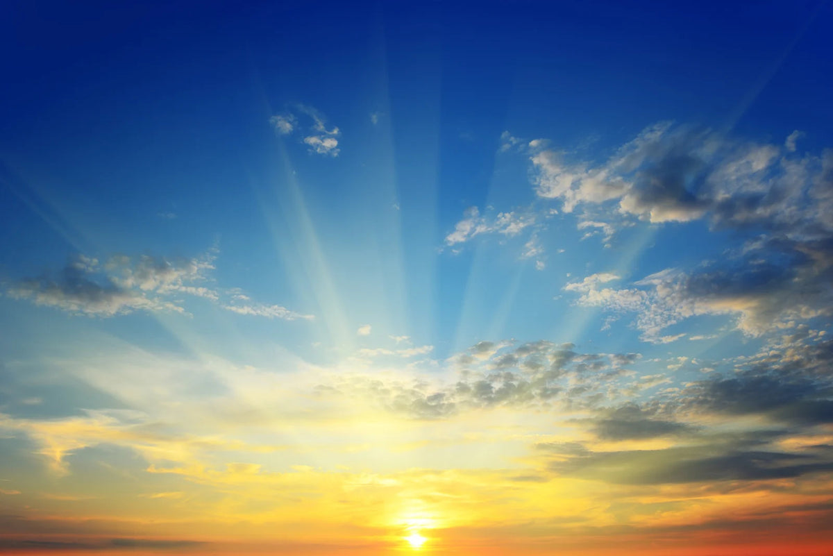 Tapetti Sunrise