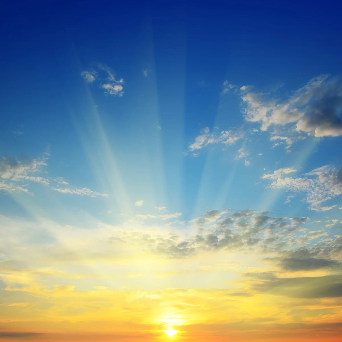 Tapetti Sunrise