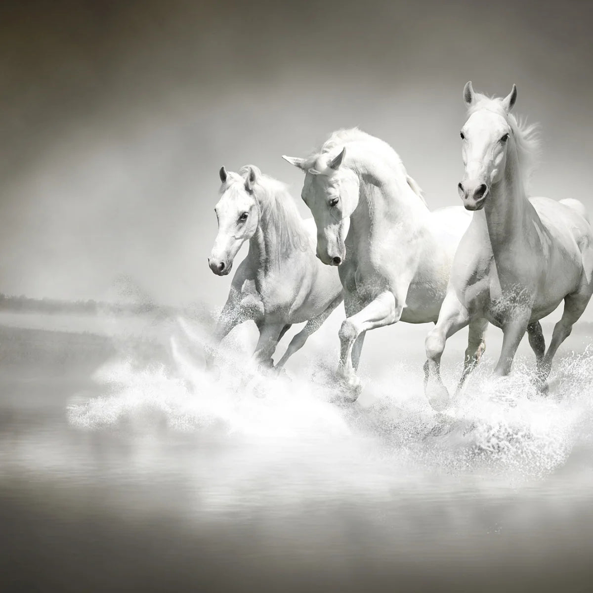 Tapetti Horses