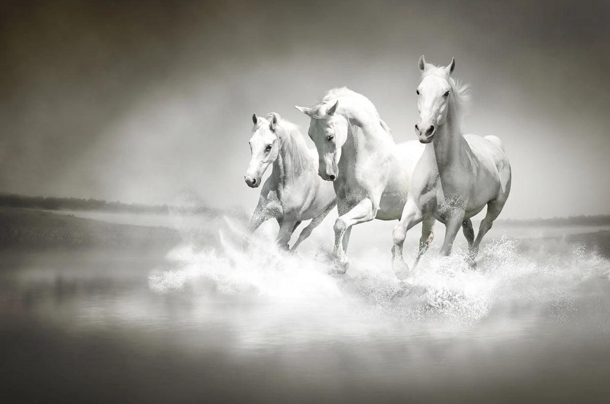 Tapetti Horses