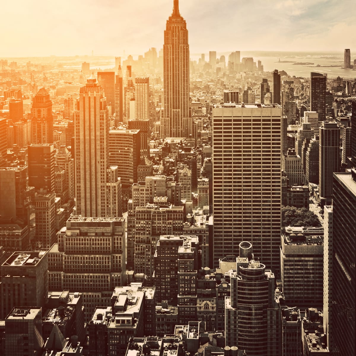 Tapetti NY