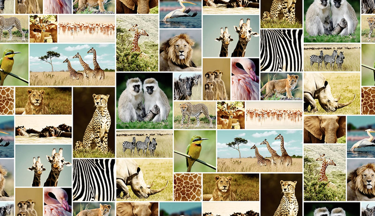 Tapetti Africa