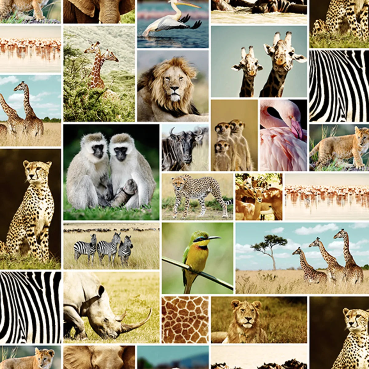 Tapetti Africa