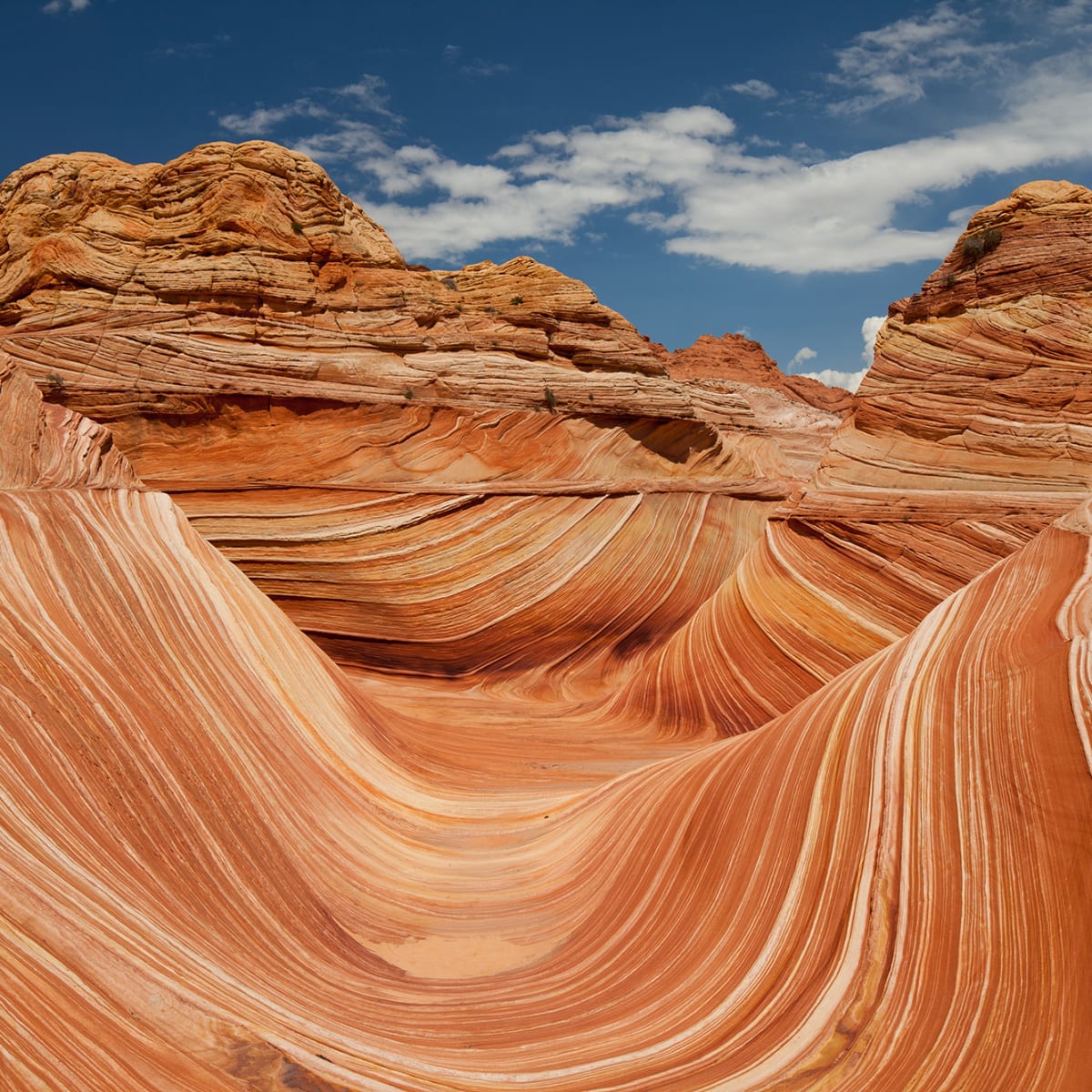 Tapetti Arizona