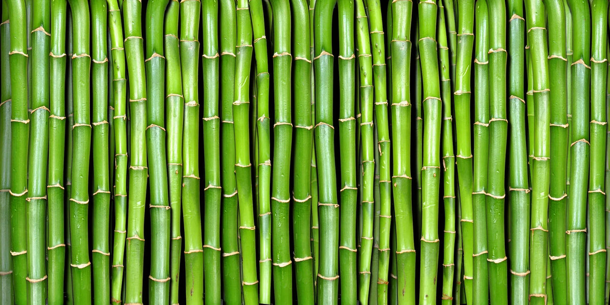 Tapetti Bamboo