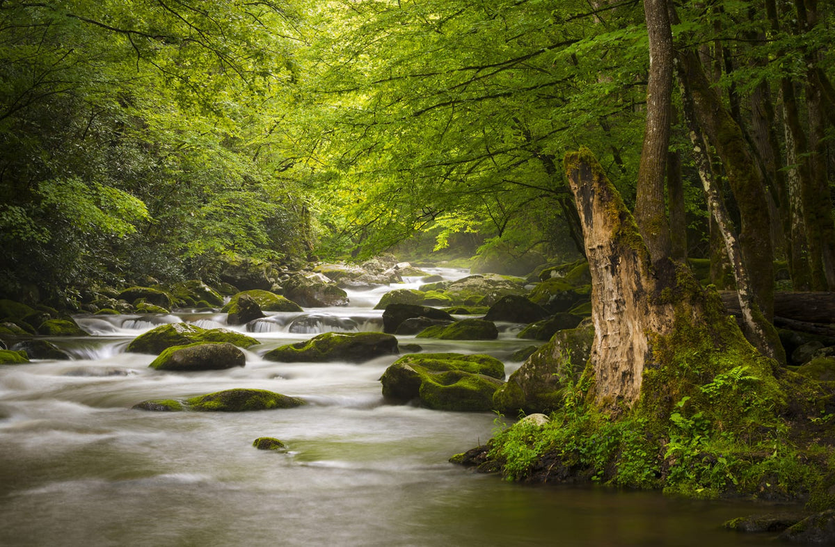 Tapetti Gentle Flow