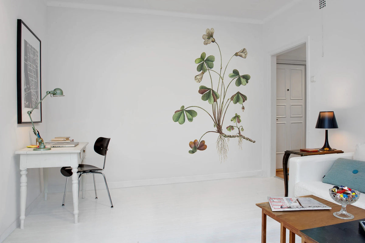 Tapetti Oxalis