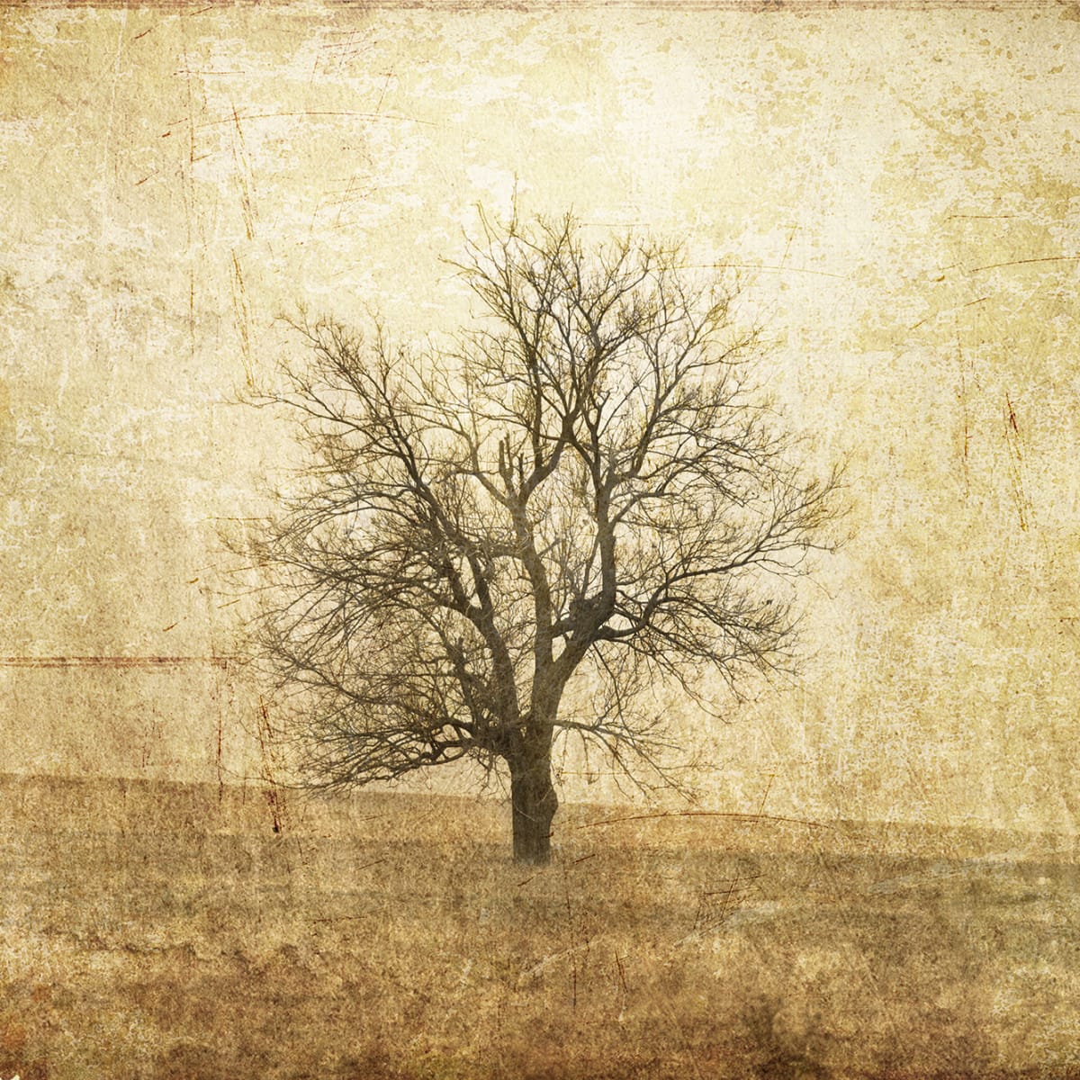 Tapetti The Lonely Tree