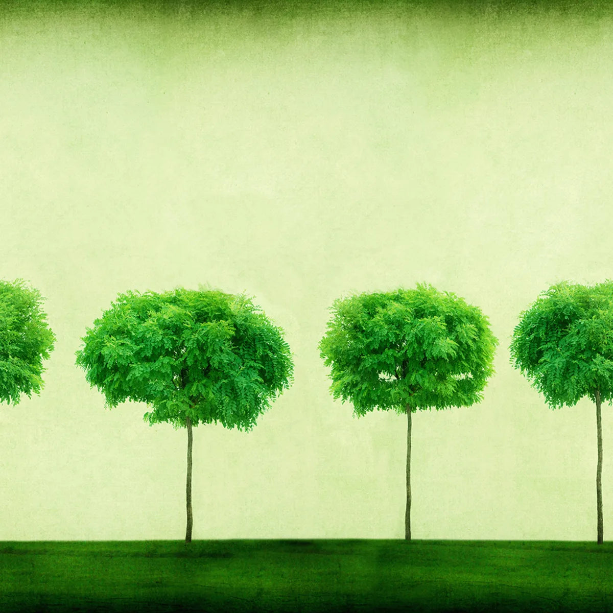 Tapetti Three Trees